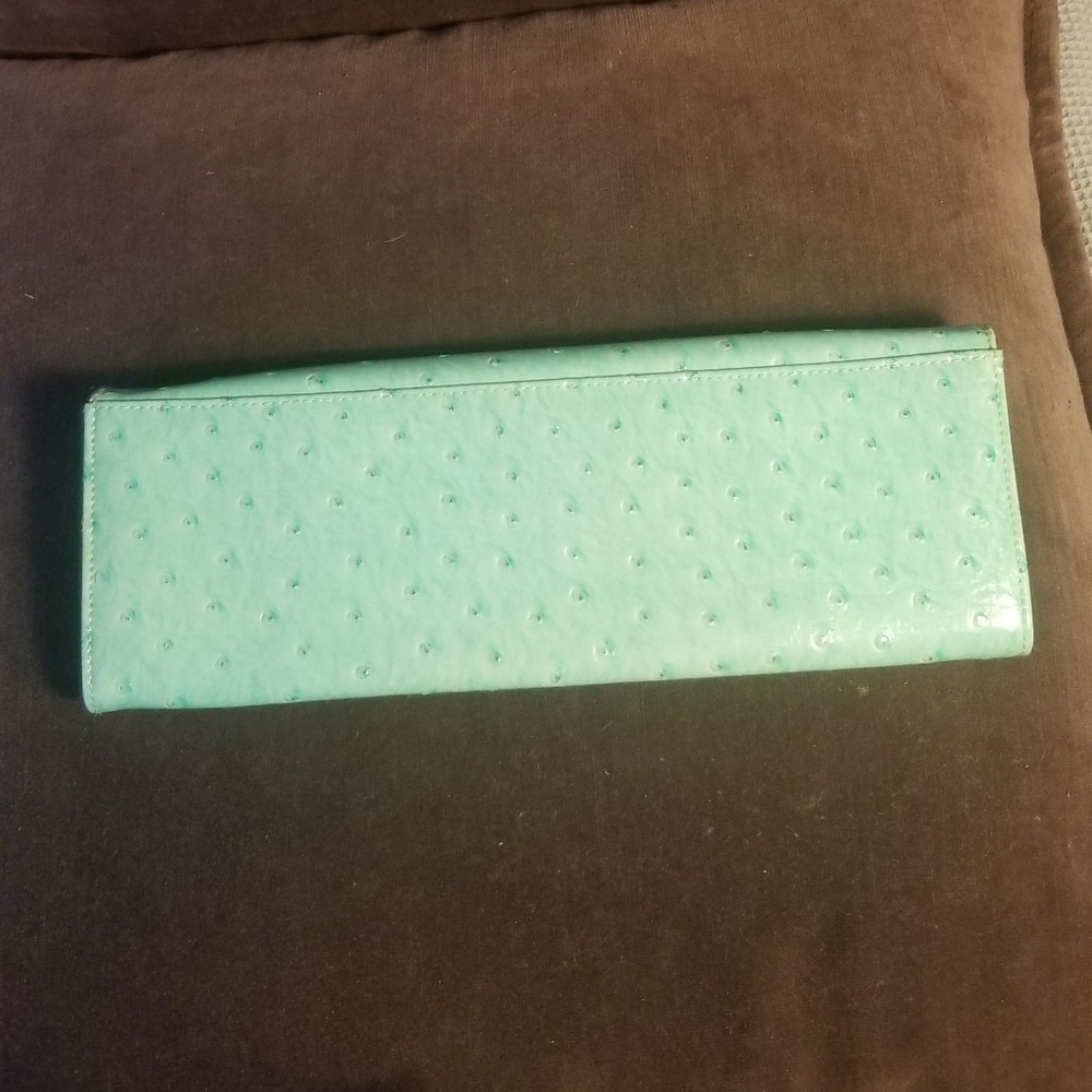 Seafoam Green Clutch